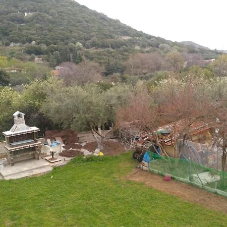 Martha'S Villa Nea Iraklitsa Екстер'єр фото