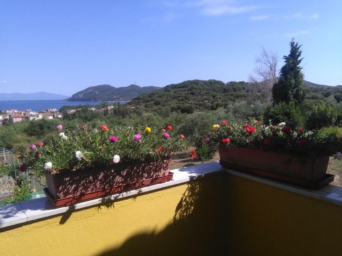 Martha'S Villa Nea Iraklitsa Екстер'єр фото