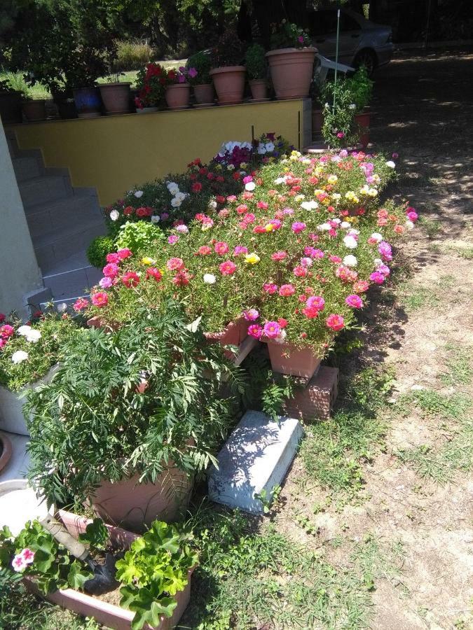 Martha'S Villa Nea Iraklitsa Екстер'єр фото